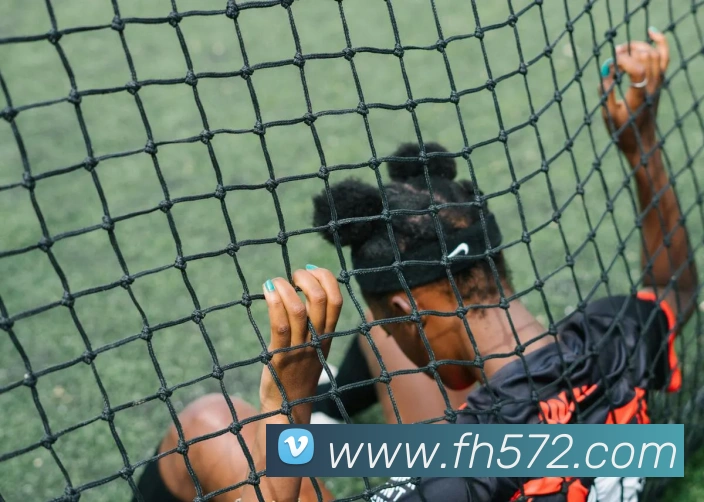 凤凰彩票APP 封面图